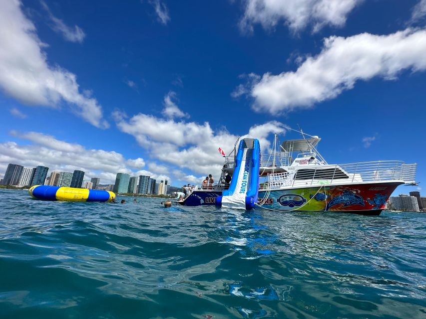 Honolulu: Deluxe Waikiki Snorkel and Wildlife Cruise - Key highlights worth knowing before you go