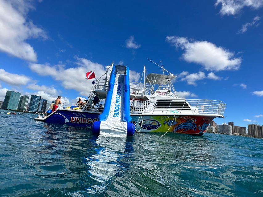 Honolulu: Deluxe Waikiki Snorkel and Wildlife Cruise - The cruise toward Diamond Head: turtles, dolphins, and possible whale season