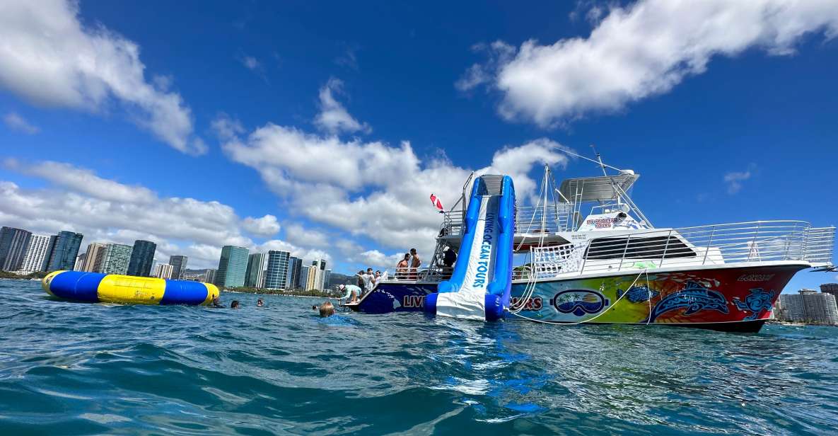 Honolulu: Deluxe Waikiki Snorkel and Wildlife Cruise - Who should book this Waikiki snorkel-and-wildlife combo