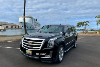 Honolulu Harbor Cruise Terminal Transfer by Luxury Vehicle - Going from Waikiki or the airport to your cruise pier