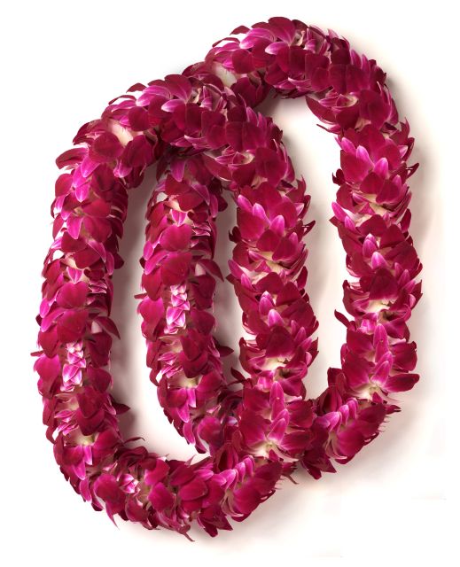 Honolulu Honeymoon Airport Lei Greeting - Price and Value: Is $78 for Up to 2 Worth It?