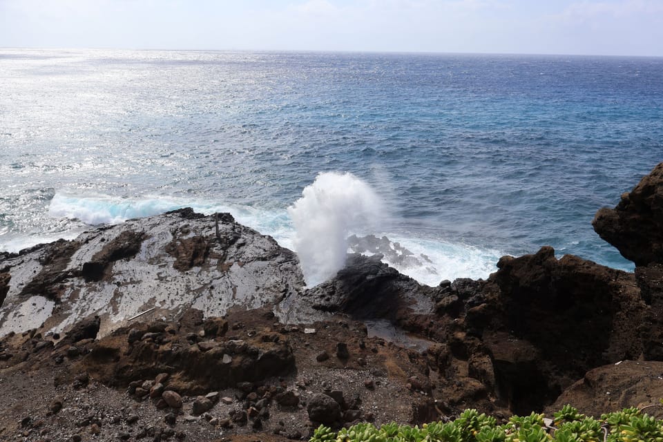 Honolulu: Stunning Views of Oahu! Half-day Scenic Tour - Small-group pacing: how it changes the experience