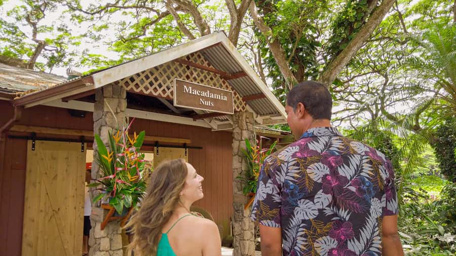 Honolulu: Ultimate Pearl Harbor and Circle Island Tour - Who This Tour Fits Best (and Who Might Want Something Else)