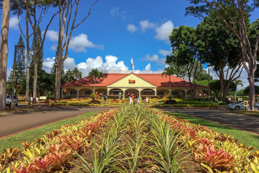 Honolulu: Ultimate Pearl Harbor and Circle Island Tour - From Oʻahu’s WWII Targets to the North Shore Surf Names