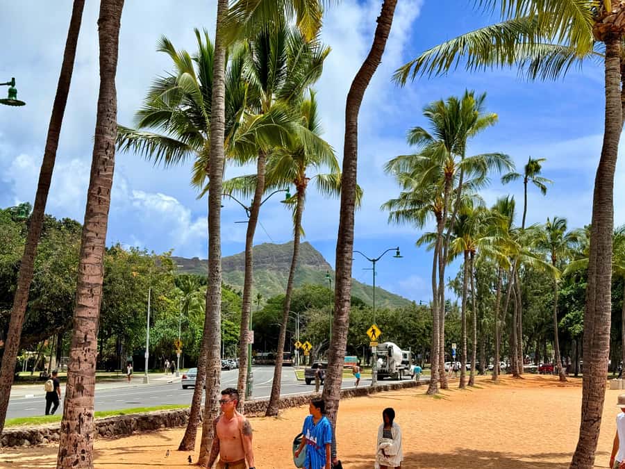 Honolulu: Waikiki Food Tour with Local Guide - Practical tips so the tour stays fun (and not annoying)