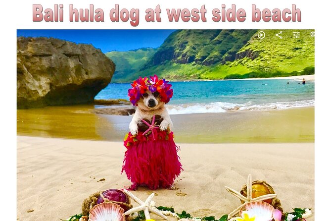 Incredible west side hidden gems -PLEASE CONTACT BEFORE BOOKING - Tips to get the most from Mermaid Caves and the beach time