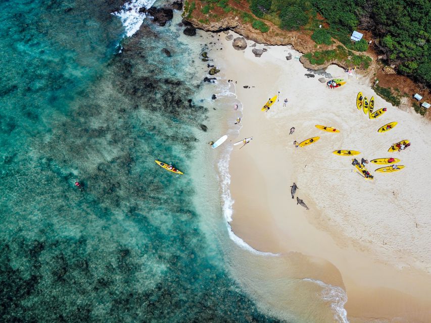 Kailua: Mokulua Islands Guided Kayak and Snorkeling Tour - What you’re paying for: value at $269 per person