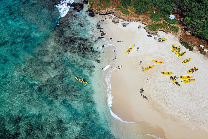 Kailua Twin Islands Guided Kayak Tour, Oahu - The Kayaks Go to the Beach by Carts (A Small Effort With a Big Payoff)