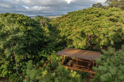 Kamananui Cacao Orchard Tour - Group size and who this tour suits best