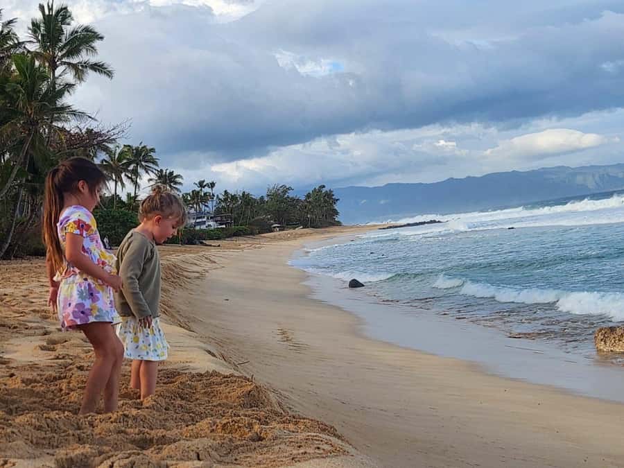 Kevo's Beach Bus - How the North Shore day really works (and why it’s a good value)