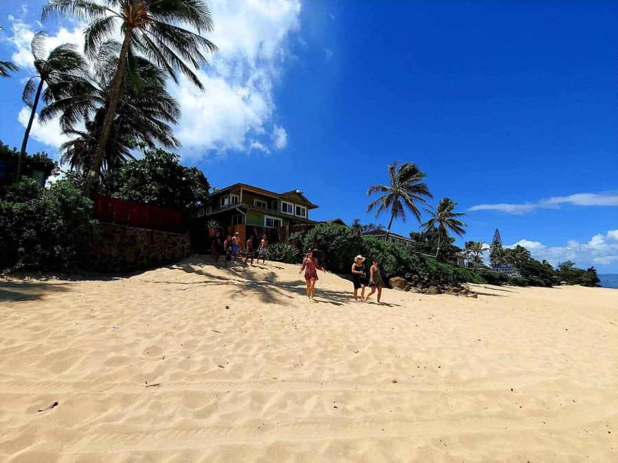 Kevo's Beach Bus - Dole Plantation and Waterfront Park: pineapple joy, then one last swim