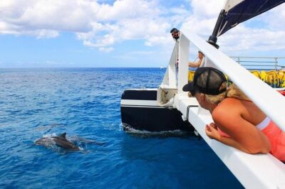 Ko Olina Catamaran Sail and Snorkel with Lunch - The sailing portion: what you’re watching for on the way out