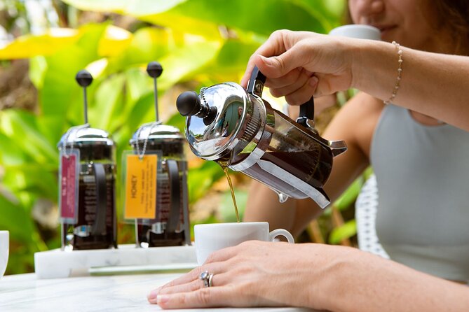 Kona Coffee Tasting: A Farm to Cup Experience - From Mauna Loa Slopes to Your Cup: Farm to Cup Basics