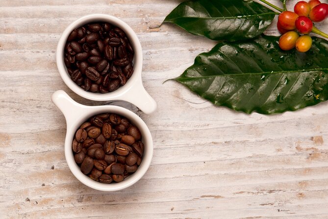 Kona Coffee Tasting: A Farm to Cup Experience - Price, Time, Group Size: Is $10 Worth Your Hour?