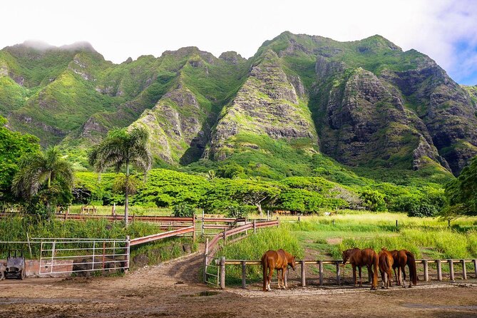 Kualoa Ranch - Kualoa Grown Tour - Key things to know before you go