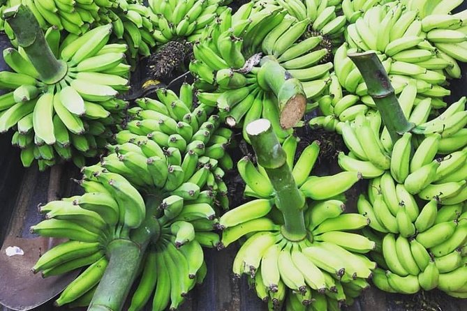 Kualoa Ranch - Kualoa Grown Tour - How long is long enough: pacing, trolley comfort, and what to plan