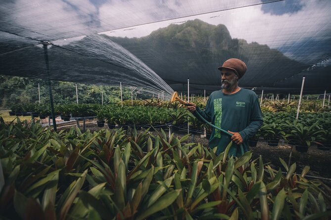 Kualoa Ranch - Kualoa Grown Tour - Small details that can make your tour smoother