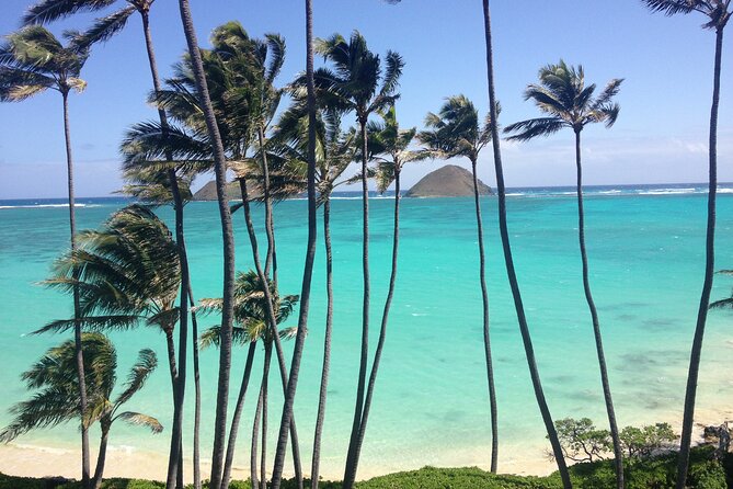 Lanikai to Mokulua islands Stand Up Paddle Board Tour - What’s included: gear, picnic add-ons, and the small comforts