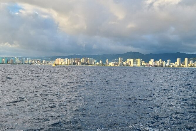 Late Breakfast Cruise in Honolulu - Wildlife Watch From the Deck: Dolphins, Whales, and Turtles
