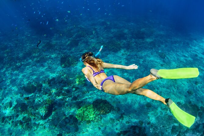 Luxury Diamond Head Sunset Sail - Key highlights you’ll care about