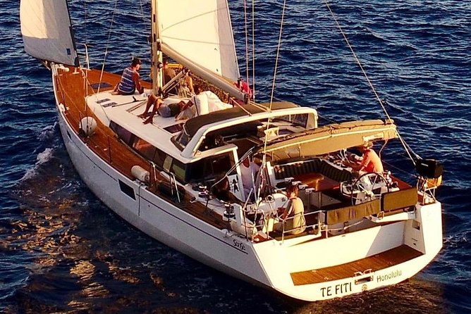 Luxury Diamond Head Sunset Sail - Wildlife odds near Diamond Head and along the route