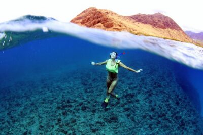 Luxury Snorkel Cruise, Local Buffet with Whale & Dolphin Watch - On the Water: The Captain’s Whale and Dolphin Search Along Oahu’s West Coast