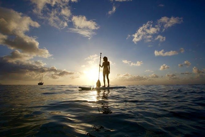 Magic Island Honolulu Stand Up Paddling - The 7:30 am advantage: calm winds and turtle-spotting odds