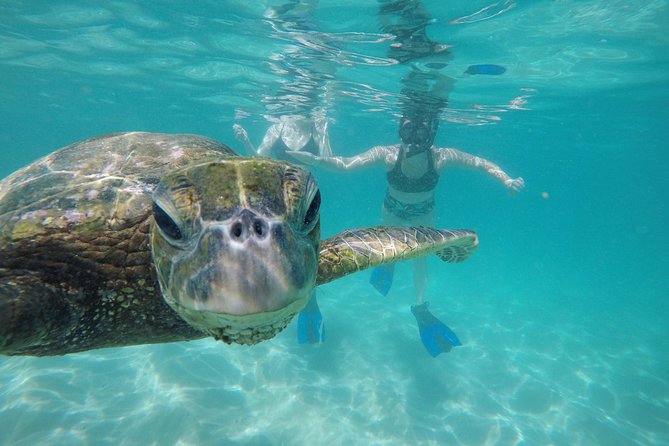 Mahina Hawaii Full Day Adventure - How your guide builds a custom day on Oahu