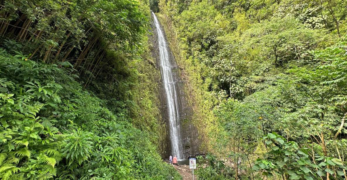 Manoa Falls eBike to Hike - Who this is best for (and who should skip it)