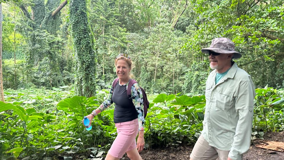 Manoa Falls eBike to Hike - What to bring so the rainforest stays fun