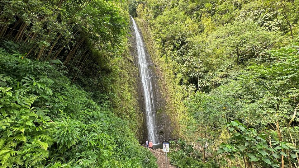 Manoa Falls eBike to Hike - The first bike loop: how Waikiki turns into “real Hawaii”