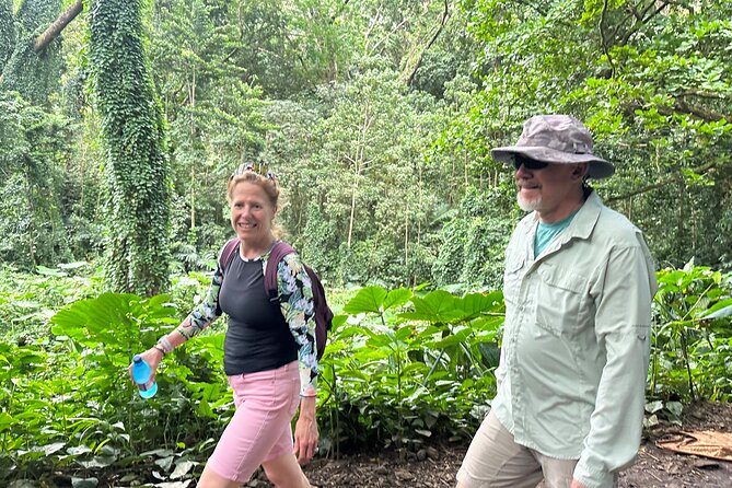 Manoa Falls-Electric Bike to Hike Experience Local meal included - The 0.8-Mile Jungle Hike to Manoa Falls: What to Expect