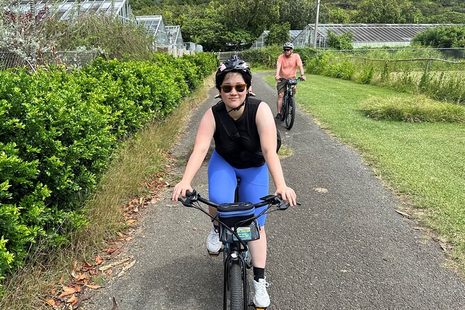 Manoa Falls-Electric Bike to Hike Experience Local meal included - If the Falls Don’t Look Right: The Value of Flexible Options