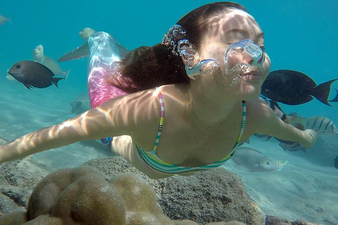 Mermaid Video shoot and Snorkel Adventure - Key things to know before you go