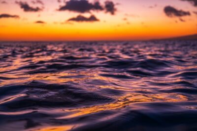 Moana’s Luxury semi-private Sunset Cruise on Nalu - Price and What You Really Get for $149.99