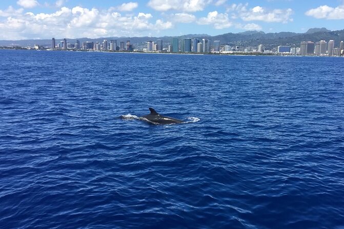 Moana’s VIP Waikiki Turtle Snorkeling Experience on Nalu - Why Turtle Canyon on the open Nalu catamaran feels different