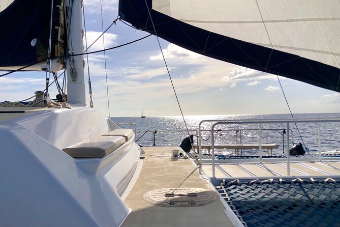 Moana’s VIP Waikiki Turtle Snorkeling Experience on Nalu - Swim actively or relax on board: the two-mode experience