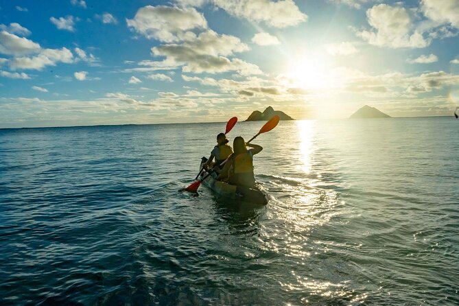 Mokulua Islands Self-Guided Kayak Adventure - Wildlife spotting without turning it into a circus