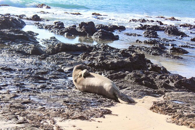 Mokulua Islands Self-Guided Kayak Adventure - Paddling reality check: who this suits best