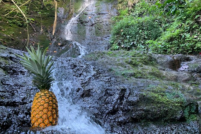 Nature Hike to Waterfall - Halona Blow Hole and Eternity Beach: spray, sea drama, and movie-fan energy
