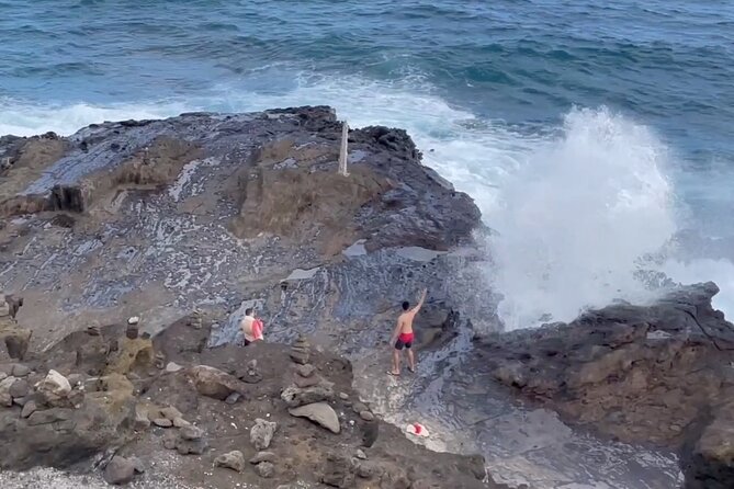 Next Level Oahu Circle Island Tour Snorkel w/Turtles and Byodo-In - Turtle Beach snorkeling with Hawaiian green sea turtles