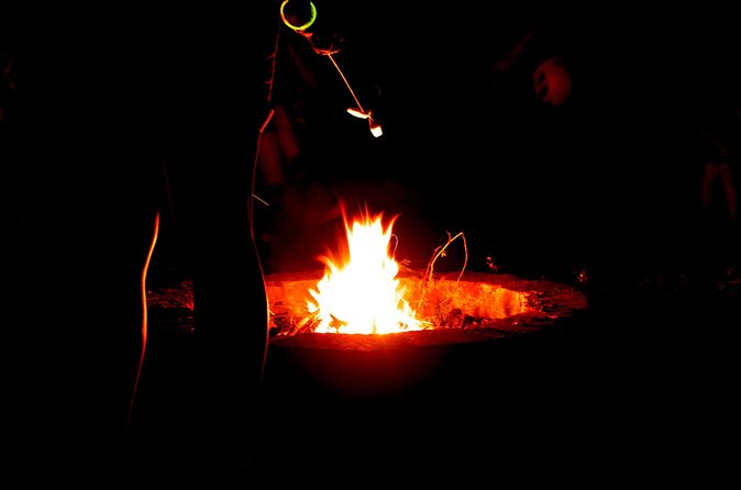 Night Zipline: 3 Zipline Adrenaline Adventure - Who should book this night zipline, and who should think twice