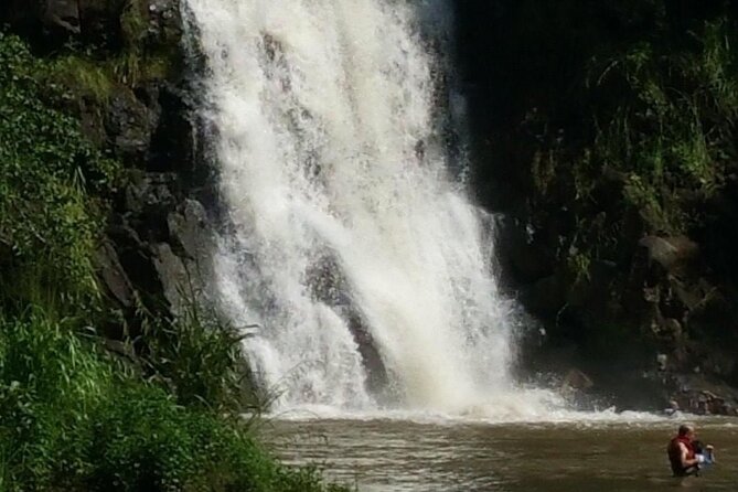 North Shore day,Waterfalls and Turtles Tour - Why the price makes sense (and what you’ll pay extra)
