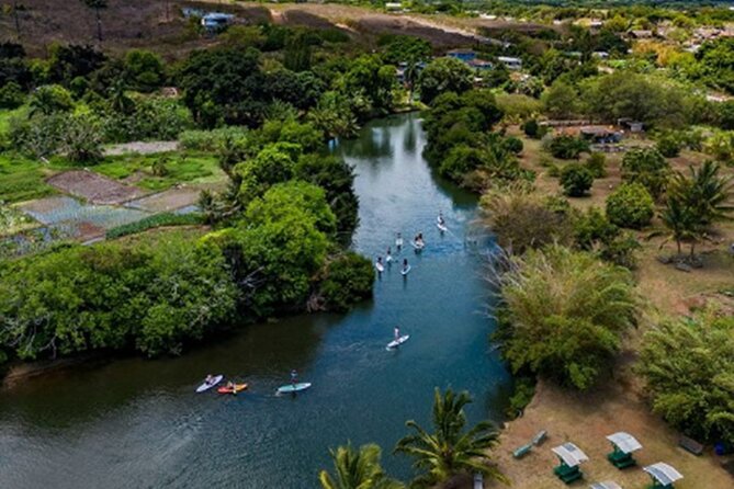 North Shore Farm: Anahulu River, Kayak-Sup, Turtles, Lunch & More - North Shore Farm: A Kayak and Farm Day That Actually Feels Like a Day