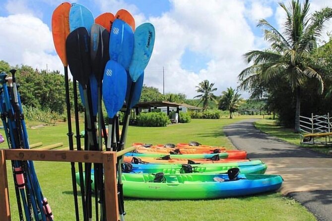 North Shore Farm: Anahulu River, Kayak-Sup, Turtles, Lunch & More - After Lunch at the Farm: Animal Time, Turtle Viewing, and Family Games