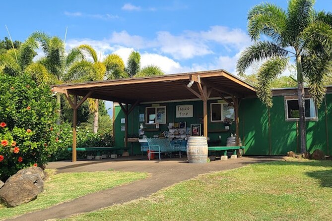 North Shore Farm: Anahulu River, Kayak-Sup, Turtles, Lunch & More - Value for $80: What You’re Really Paying For