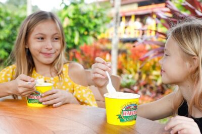 North Shore Haleiwa & Dole Plantation Tour - Dole Plantation in 90 Minutes: Train, Gardens, and How to Prioritize
