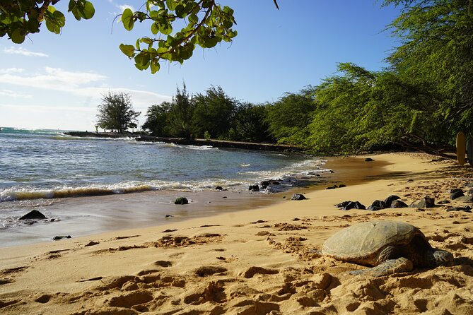 North Shore Surfing Lessons Oahu Hawaii - What’s Included, What You Bring, and How to Prep Like a Surfer