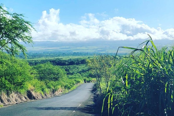 North Shore Tour Guide Hike - Why the North Shore Hike Feels Like a Reset from Haleiwa
