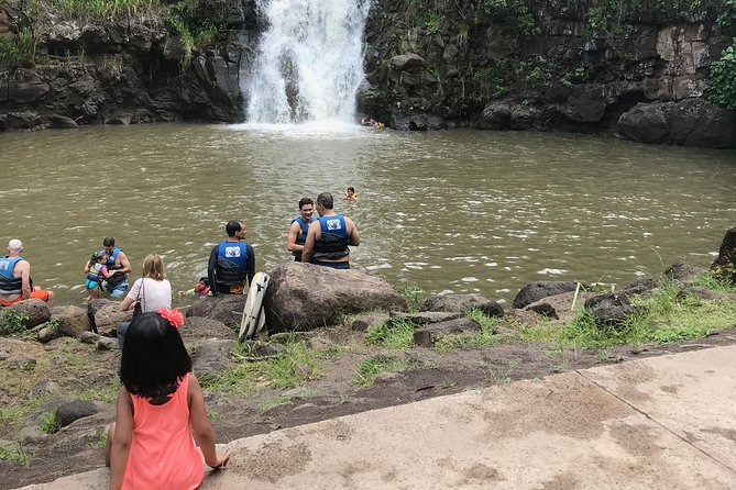 North Shore / Waimea, Falls Day & Swim with Turtles - Pickup and Transportation: The Smooth Start You’ll Notice